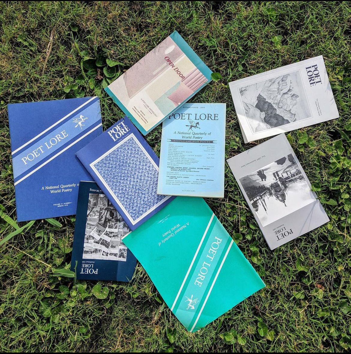 A collection of books lying on the grass